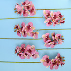 Kit Com Doze Unidades De Orquídea Artificial Rosa 3d| Formosi